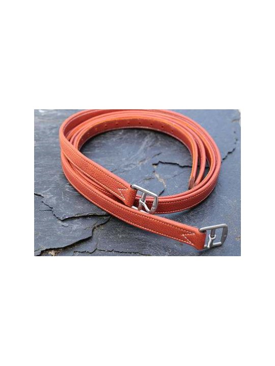 Etrivières DE MUIZON