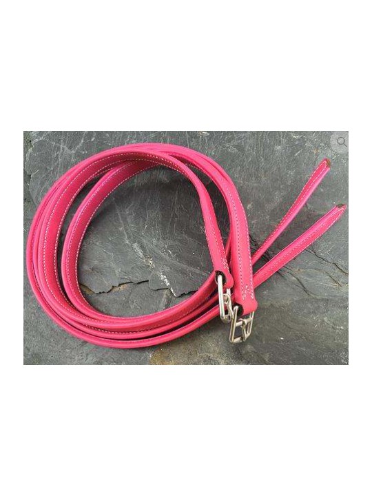 Etrivières DE MUIZON