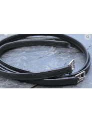 Etrivières DE MUIZON