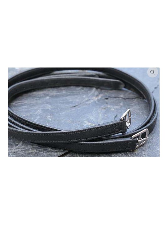 Etrivières DE MUIZON