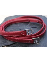 Etrivières DE MUIZON