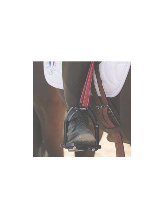 Etrivières DE MUIZON