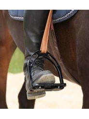 Etrivières DE MUIZON