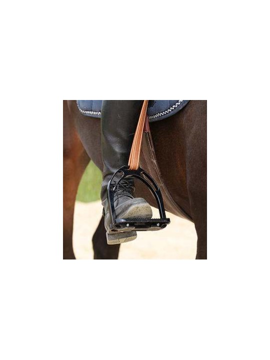 Etrivières DE MUIZON