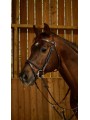 Bridon WORKING Collection muserolle combinée avec mousqueton