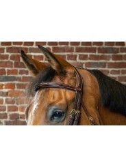 Frontal D Collection droit