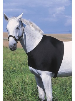 Protection d'épaules