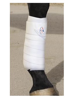 Bandes de travail Pro'Choice