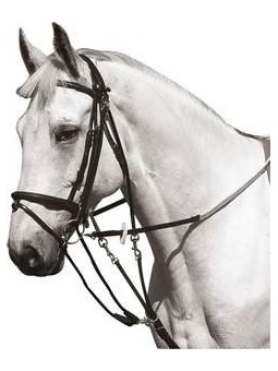 Gogue à poulie NORTON