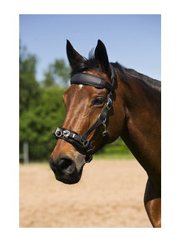 Caveçon doublé néoprène