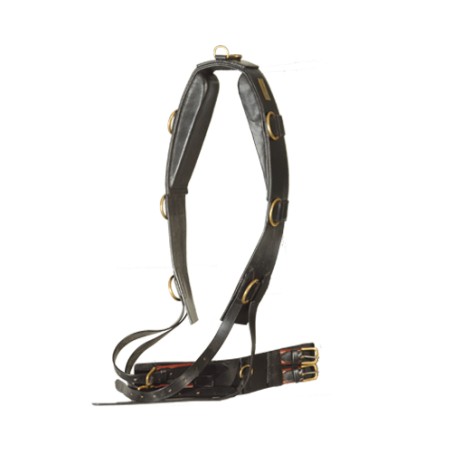 Surfaix élastique cuir avec coussins