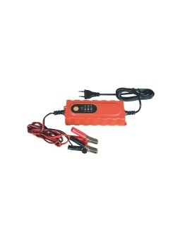 Chargeur de batterie 12V