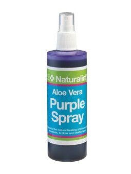 NaturalintX ALOE VERA