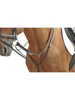 Enrênement THIEDEMANN