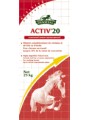 ACTIV'20