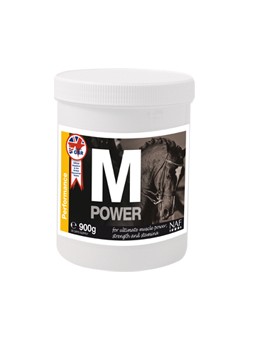 M POWER