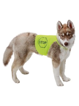 Gilet pour chien fluorescent