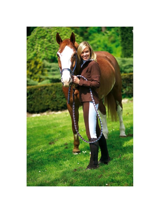 Licol nylon doublé cuir + longe américaine