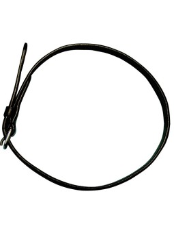 Courroies d'éperons