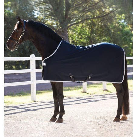 Chemise AMIGO JERSEY PONY