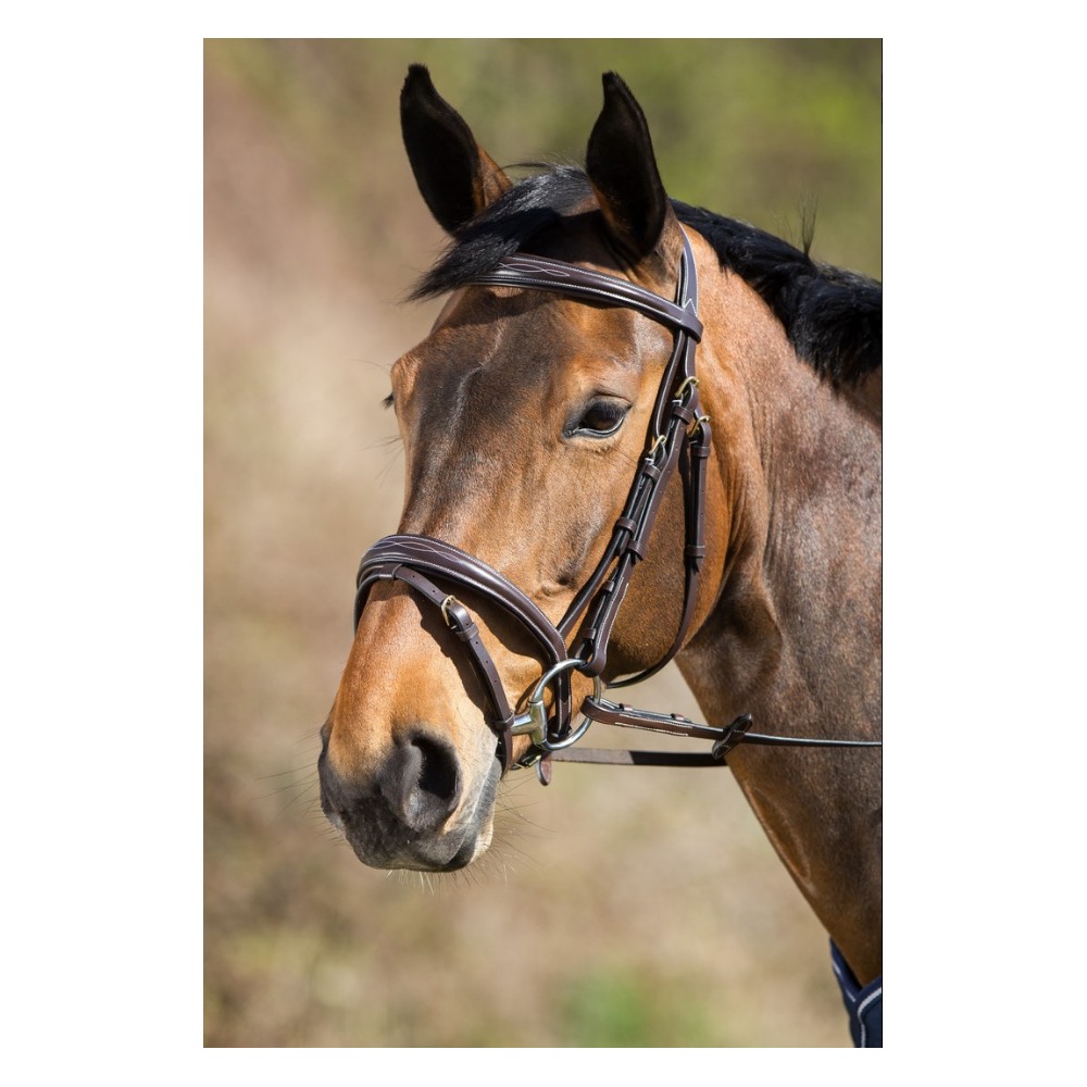 Bridon ELEGANT